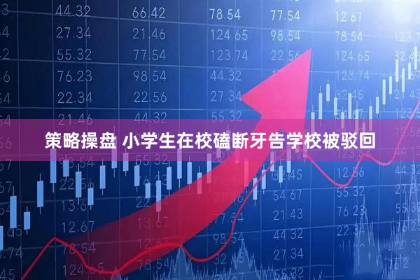 策略操盘 小学生在校磕断牙告学校被驳回