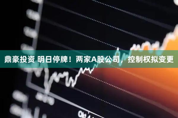鼎豪投资 明日停牌！两家A股公司，控制权拟变更