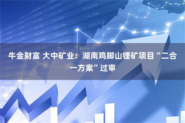 牛金财富 大中矿业：湖南鸡脚山锂矿项目“二合一方案”过审