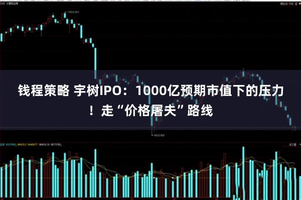 钱程策略 宇树IPO：1000亿预期市值下的压力！走“价格屠夫”路线