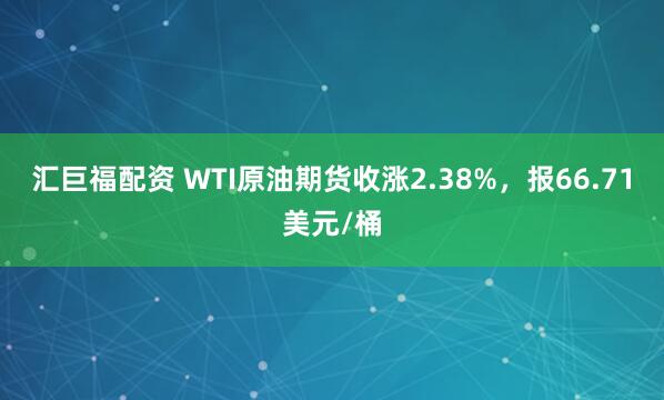 汇巨福配资 WTI原油期货收涨2.38%，报66.71美元/桶