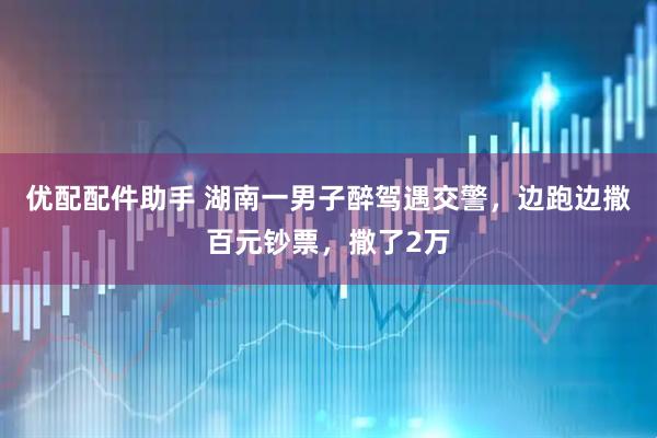 优配配件助手 湖南一男子醉驾遇交警，边跑边撒百元钞票，撒了2万