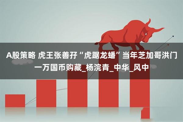 A股策略 虎王张善孖“虎踞龙蟠”当年芝加哥洪门一万国币购藏_杨浣青_中华_风中