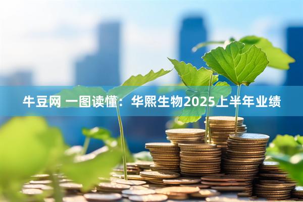 牛豆网 一图读懂：华熙生物2025上半年业绩