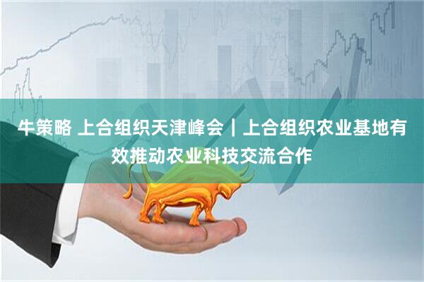 牛策略 上合组织天津峰会｜上合组织农业基地有效推动农业科技交流合作