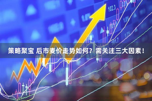 策略聚宝 后市麦价走势如何？需关注三大因素！